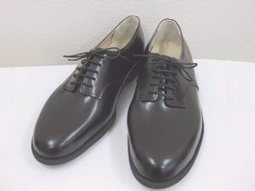 �C�̐����08