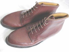 �C�̐����10