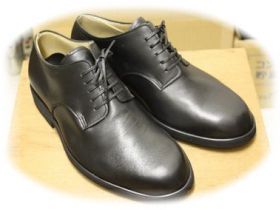 �C�̐����14