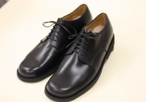 �C�̐����16